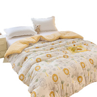 华夏盛锦 宝宝绒大豆棉豆豆被 200x230cm HXSJ-JC05 5斤/条