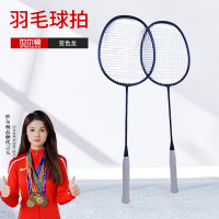 世尔顿(SHIERDUN) 羽毛球拍 变色龙 副