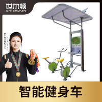 世尔顿(SHIERDUN) 路径 智能健身车 SED-SZN11 套