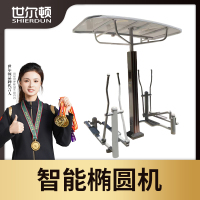 世尔顿(SHIERDUN) 路径 智能椭圆机 SED-SZN13 套