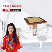 世尔顿(SHIERDUN) 户外健身路径 轨道围棋 个