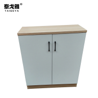 泰戈雅 鞋柜 TGY-020 个