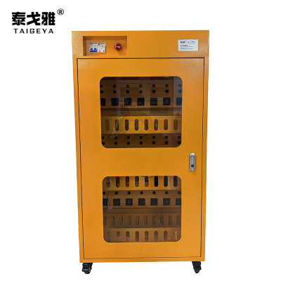 泰戈雅 办公充电柜 620x380x1100mm 台