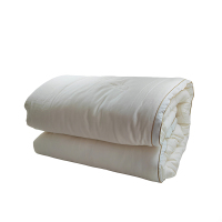 泰戈雅 大豆纤维被 TGY-063 张