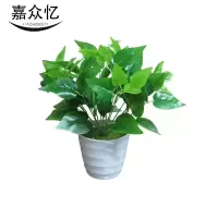 嘉众忆 仿真盆栽绿萝35*35*38cm JZY-BH128 个