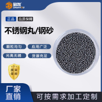 站友 钢丸0.8mm 1kg