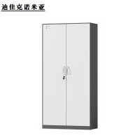 迪佳克诺米亚 办公套色衣柜 J-900*550*2400mm 组