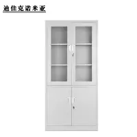 迪佳克诺米亚 办公柜 大器械办公柜 A12-BGG800 组