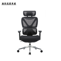 迪佳克诺米亚 办公椅 人体工学转椅 Z-510*470*1190mm 把