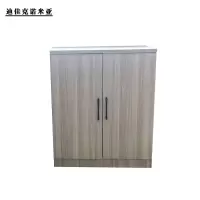 迪佳克诺米亚 鞋柜 板材两门鞋柜 DXJZ-900*450*900mm 个
