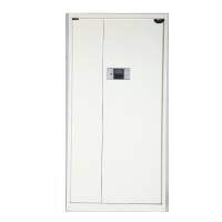 东松 双门电子密码文件柜 900*430*1800 套