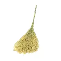 璐盐 扫帚扫把 180cm 把