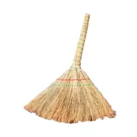 璐盐 扫帚 金丝苗 把