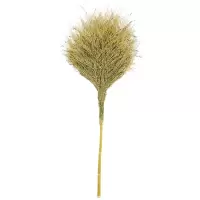 璐盐 扫帚扫把 1.3-1.4米 把