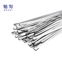 铂灳 不锈钢扎带 15*600mm 条