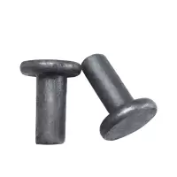 铂灳 平头铆钉 M4*10 个