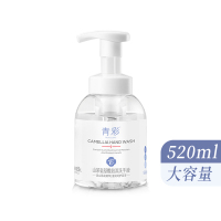青彩山茶氨基酸520ml泡沫洗手液  不伤手温和滋润 氨基酸配方
