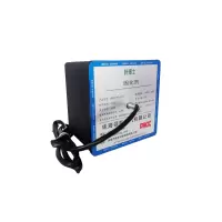 叶博士 固化剂 QRR0.3G/S-LH 300g 1个 300g