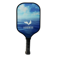 叶博士 复合S2初学者磨砂型匹克球拍 LWPPA24A (计价单位:只)