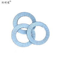 丝顺通 锁紧垫圈 Φ10/个