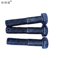 丝顺通 六角头螺杆带孔螺栓M16*95/个