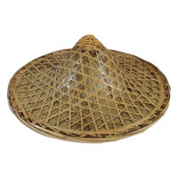 永满铁运 斗笠 遮阳帽 52cm 个