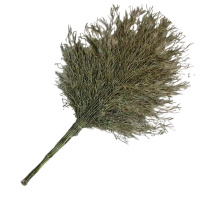 永满铁运 大扫帚 3.6斤 把