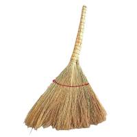 瑞季勤 小扫帚 金丝苗 把