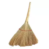 瑞季勤 小扫帚 金丝苗 把
