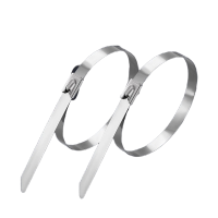 瑞季勤 不锈钢扎带 19*2000mm 根