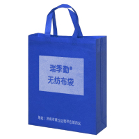 瑞季勤 无纺布袋 300*380*100mm 个