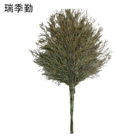 瑞季勤 大扫帚 竹把 把