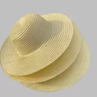 惠铁防晒遮阳草帽可印字 大檐 个