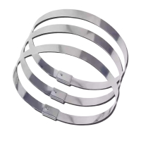 区南 不锈钢扎带 4.6*200mm 根