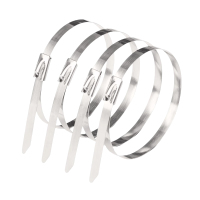 区南 不锈钢扎带 19*700mm 根