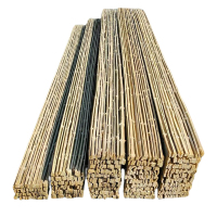 区南 竹踏板 竹架板竹跳板 300*2900mm 个