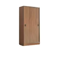 伊洛源 推拉门木质衣柜