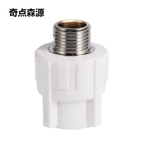 奇点森源 PPR外牙直通 DN20 个