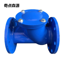 奇点森源 逆止阀 DN80 个