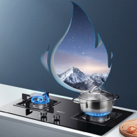 帅康燃气灶06-B02液化气 4.2KW 一级能效