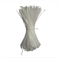 高杨茂诺 扎带 2.5*150mm 包