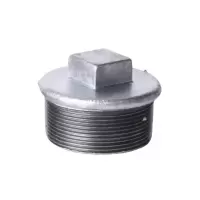 高杨茂诺 镀锌丝堵头 1寸 个