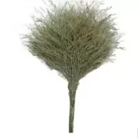 高杨茂诺 竹子扫把 普通款 把