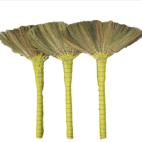 高杨茂诺 芦苇扫把 芦苇扫把 把