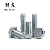 时友 TIME FRIEND 六角头打孔螺栓彩锌 16*80 个