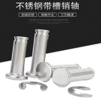 时友 TIME FRIEND 不锈钢槽销 6*20 个