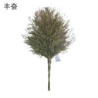 丰奋 大扫帚 3.6斤 把