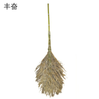 丰奋 大扫把 4斤带叶 把