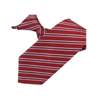 天富星 红色工装制服领带 拉链 条