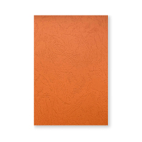 优彩嘉 彩色皮纹纸 A4 230g 橘红色 1511 包